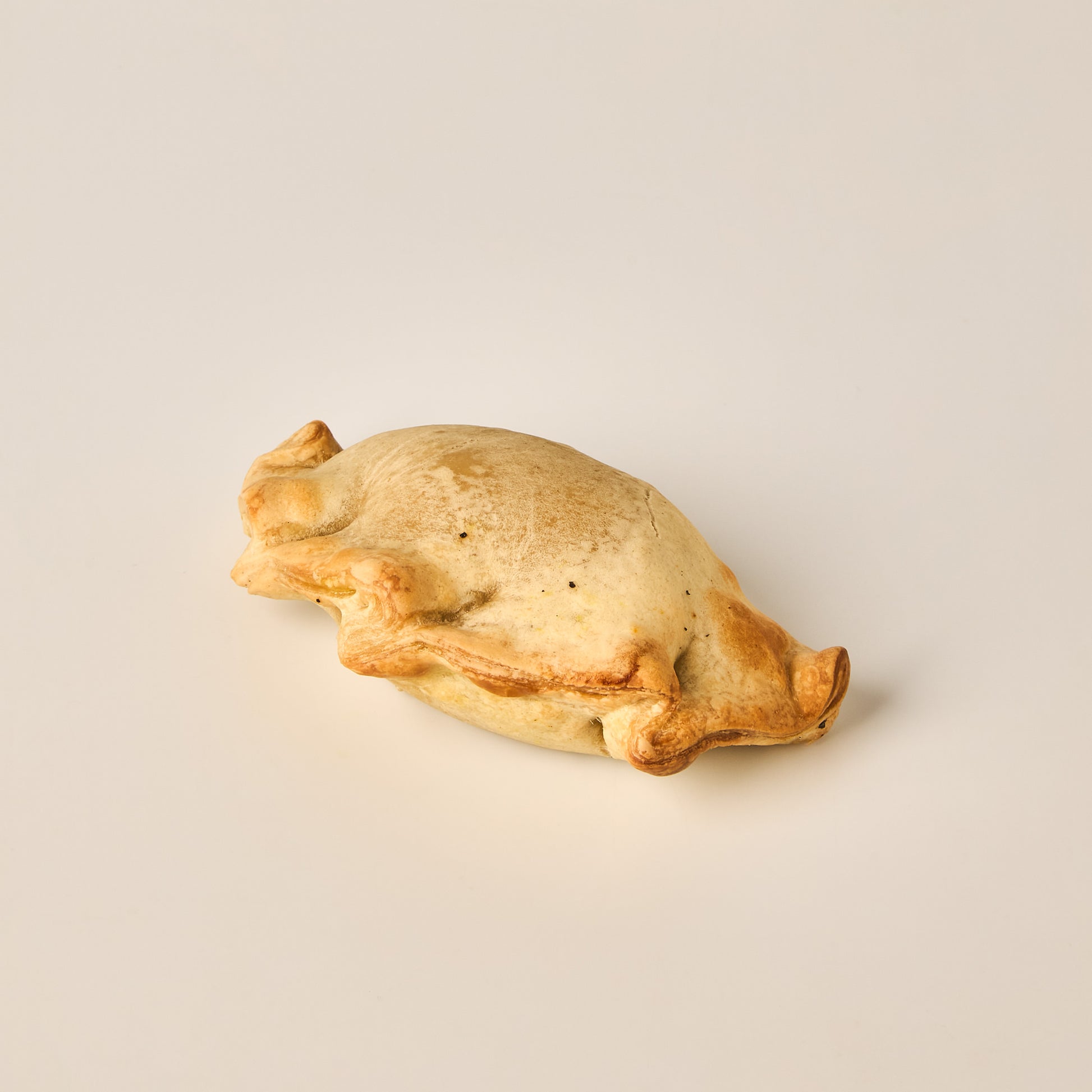 Empanada de Pollo