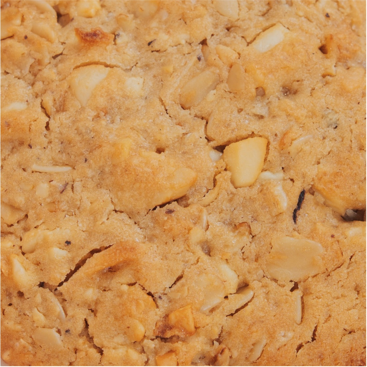 Galleta de Avena