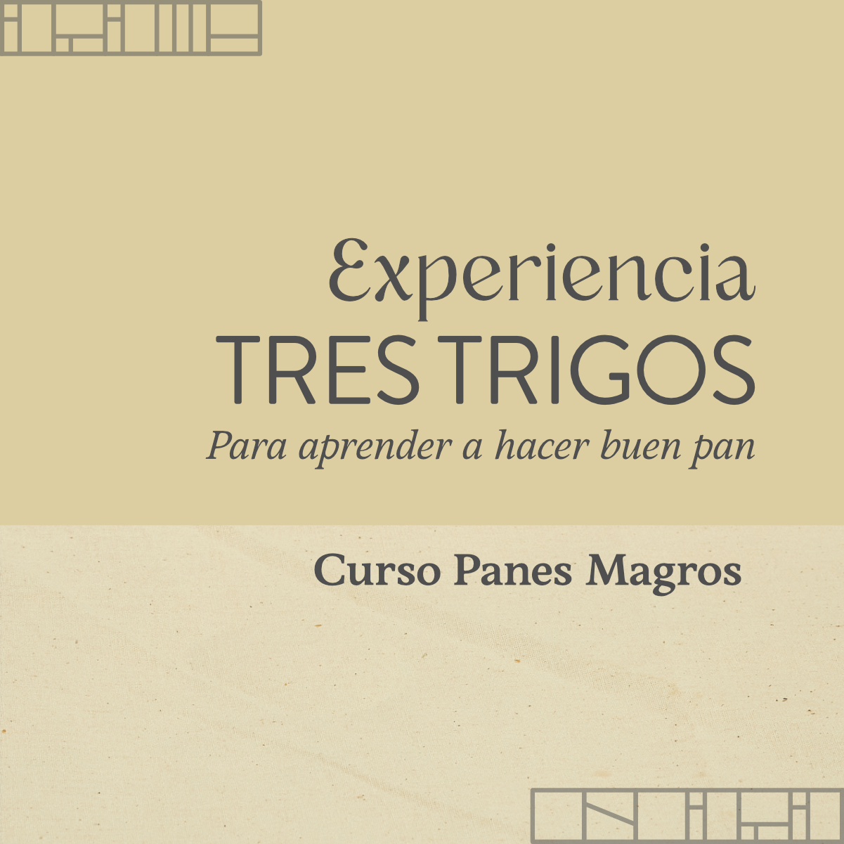 Experiencia Tres Trigos - Curso Panes Magros